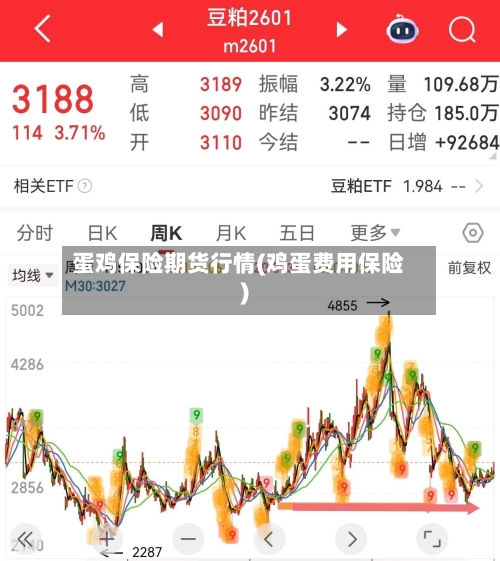 蛋鸡保险期货行情(鸡蛋费用保险)-第2张图片