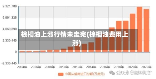 棕榈油上涨行情未走完(棕榈油费用上涨)-第3张图片