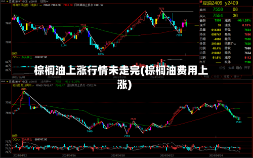 棕榈油上涨行情未走完(棕榈油费用上涨)-第2张图片