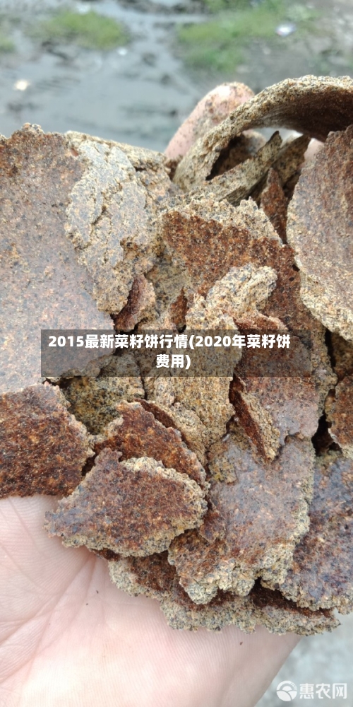 2015最新菜籽饼行情(2020年菜籽饼费用)-第3张图片