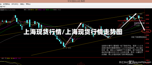 上海现货行情/上海现货行情走势图
