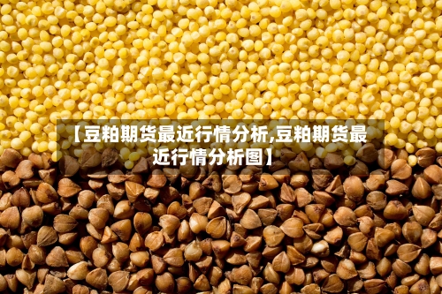 【豆粕期货最近行情分析,豆粕期货最近行情分析图】