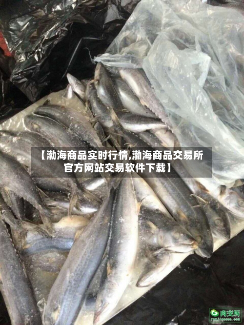 【渤海商品实时行情,渤海商品交易所官方网站交易软件下载】