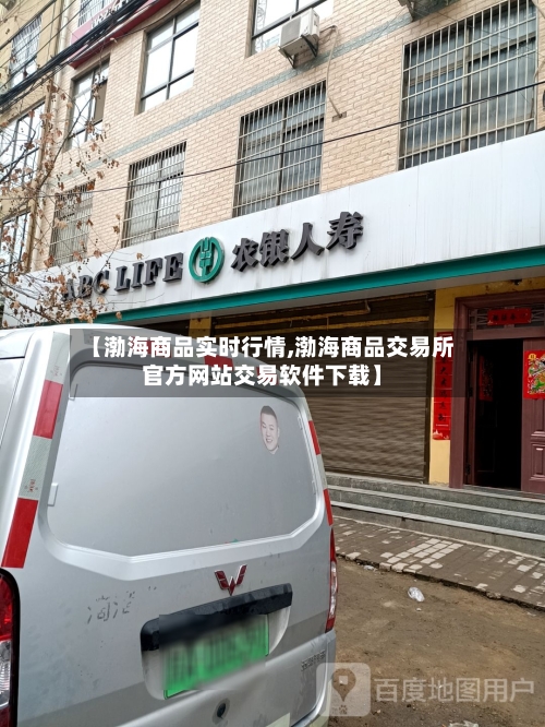 【渤海商品实时行情,渤海商品交易所官方网站交易软件下载】-第2张图片