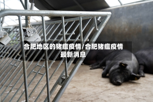 合肥地区的猪瘟疫情/合肥猪瘟疫情最新消息-第2张图片