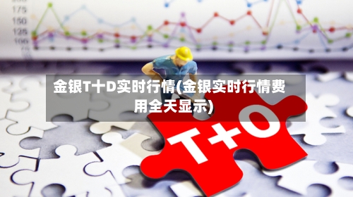 金银T十D实时行情(金银实时行情费用全天显示)