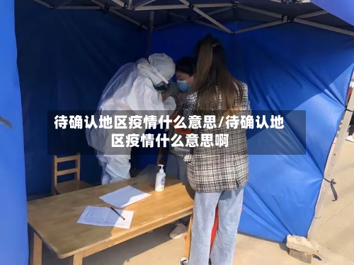 待确认地区疫情什么意思/待确认地区疫情什么意思啊