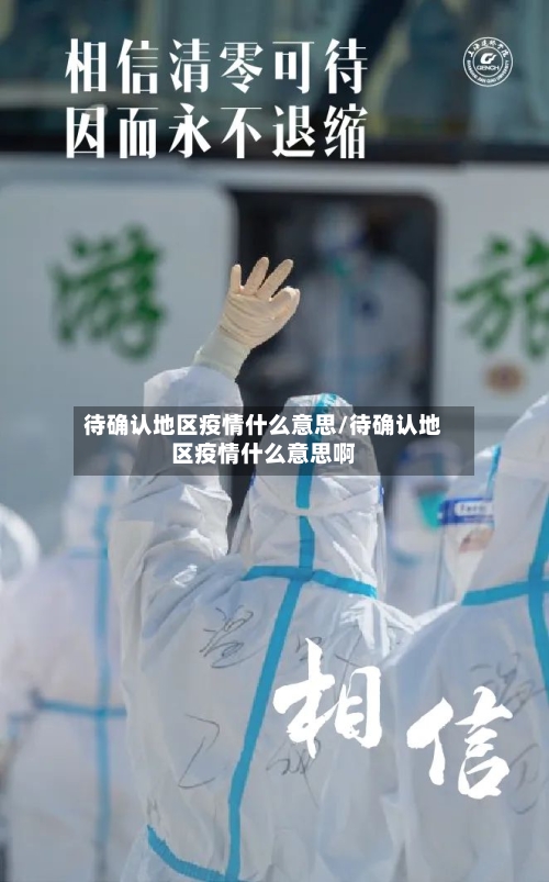 待确认地区疫情什么意思/待确认地区疫情什么意思啊-第2张图片