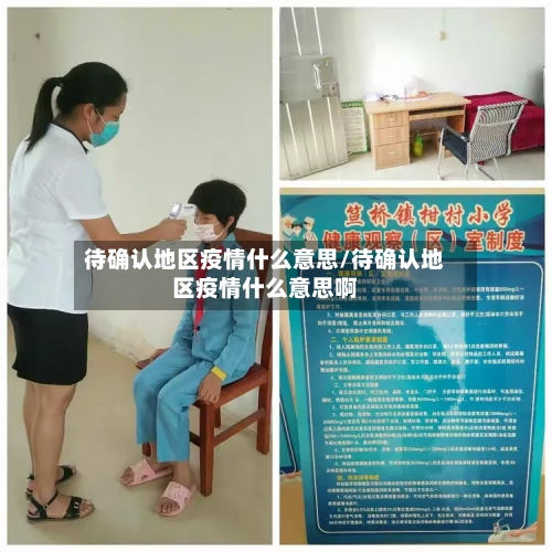 待确认地区疫情什么意思/待确认地区疫情什么意思啊-第3张图片