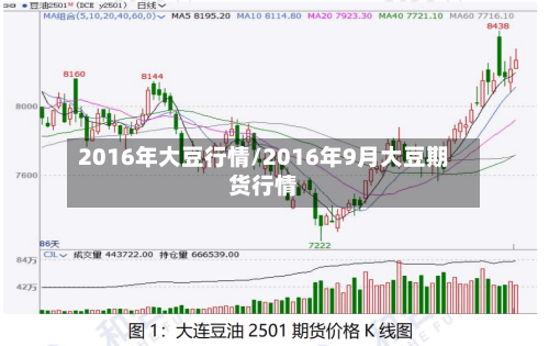 2016年大豆行情/2016年9月大豆期货行情-第2张图片