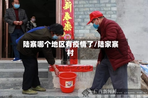 陆寨哪个地区有疫情了/陆家寨村-第3张图片