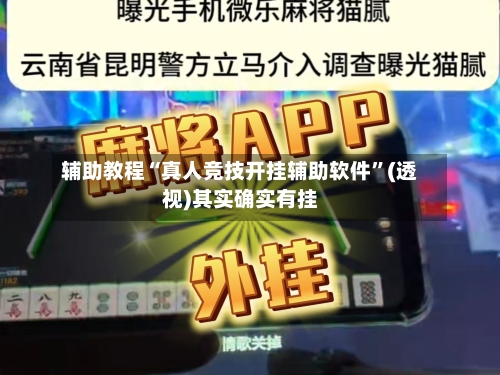 辅助教程“真人竞技开挂辅助软件	”(透视)其实确实有挂-第2张图片