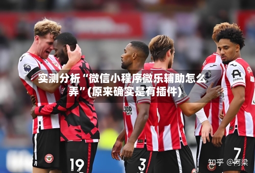 实测分析“微信小程序微乐辅助怎么弄”(原来确实是有插件)-第2张图片