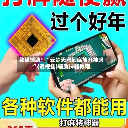 教程辅助！“云梦天穹到底能开挂吗”(透视挂)辅助神器教程-第3张图片