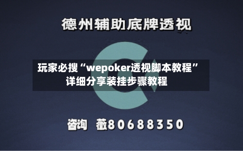 玩家必搜“wepoker透视脚本教程”详细分享装挂步骤教程