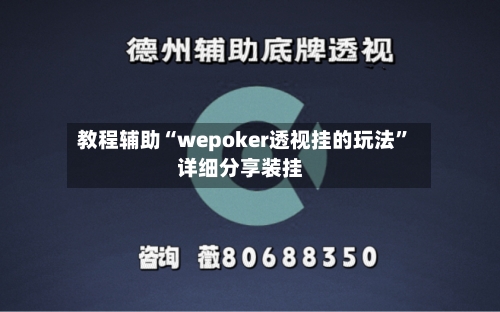 教程辅助“wepoker透视挂的玩法”详细分享装挂-第2张图片