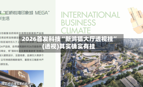 2026首发科技“新鸿狐大厅透视挂”(透视)其实确实有挂-第2张图片