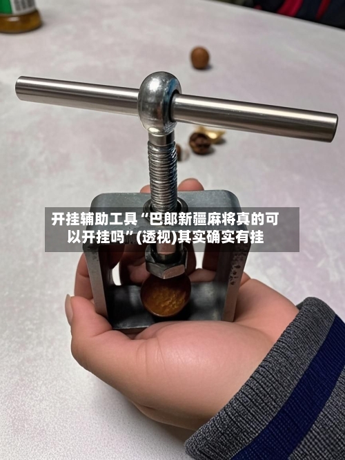 开挂辅助工具“巴郎新疆麻将真的可以开挂吗”(透视)其实确实有挂
