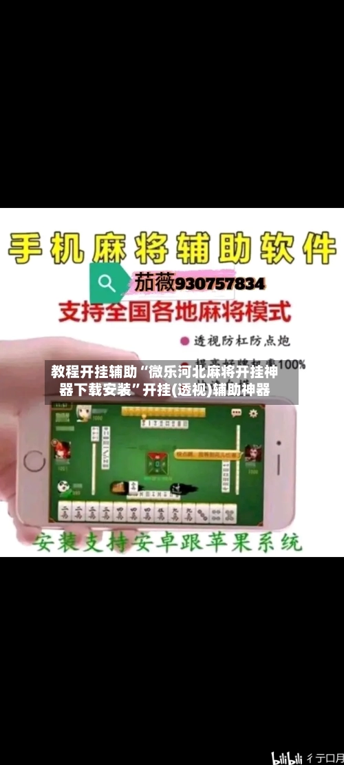 教程开挂辅助“微乐河北麻将开挂神器下载安装”开挂(透视)辅助神器-第2张图片
