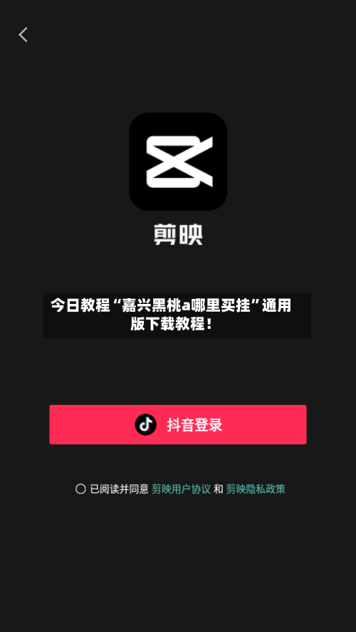 今日教程“嘉兴黑桃a哪里买挂”通用版下载教程！