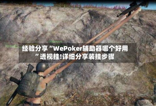 经验分享“WePoker辅助器哪个好用	”透视挂!详细分享装挂步骤-第3张图片