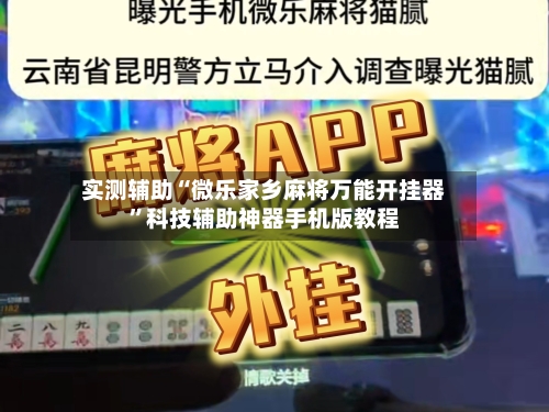 实测辅助“微乐家乡麻将万能开挂器”科技辅助神器手机版教程-第3张图片