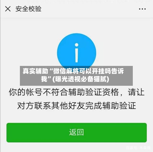 真实辅助“微信麻将可以开挂吗告诉我”(曝光透视必备猫腻)-第2张图片