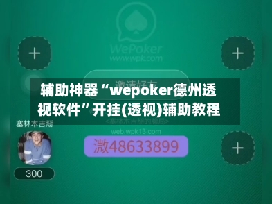 辅助神器“wepoker德州透视软件”开挂(透视)辅助教程-第2张图片
