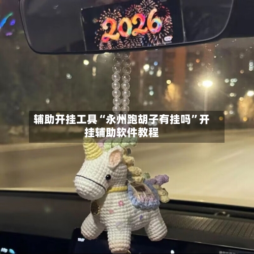 辅助开挂工具“永州跑胡子有挂吗”开挂辅助软件教程-第2张图片