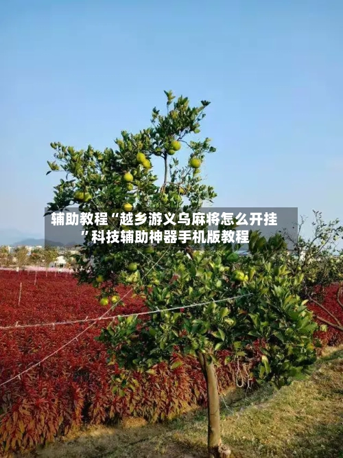 辅助教程“越乡游义乌麻将怎么开挂”科技辅助神器手机版教程-第2张图片