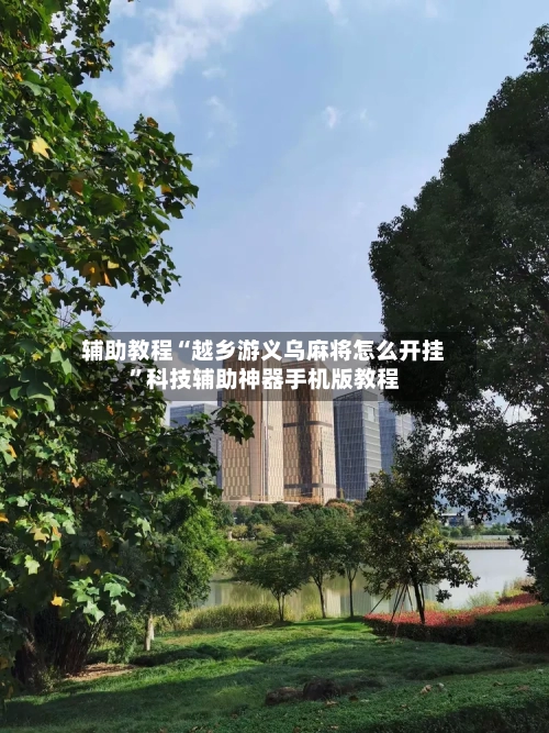 辅助教程“越乡游义乌麻将怎么开挂”科技辅助神器手机版教程-第3张图片