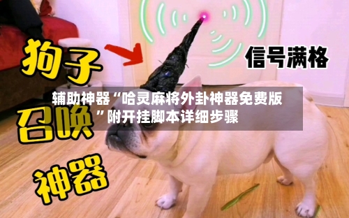 辅助神器“哈灵麻将外卦神器免费版”附开挂脚本详细步骤-第2张图片