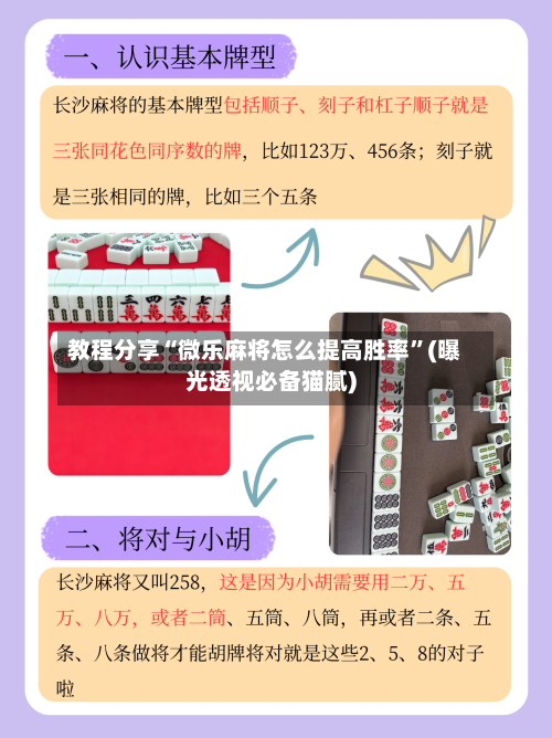 教程分享“微乐麻将怎么提高胜率”(曝光透视必备猫腻)