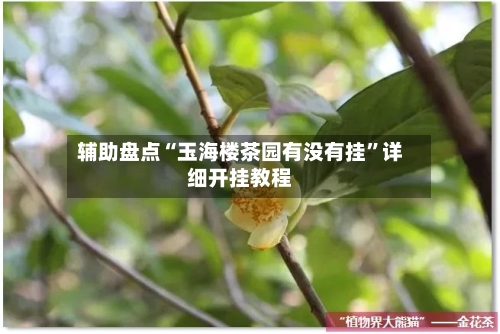 辅助盘点“玉海楼茶园有没有挂”详细开挂教程-第2张图片