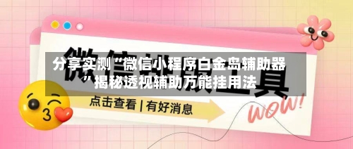 分享实测“微信小程序白金岛辅助器”揭秘透视辅助万能挂用法