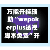 万能开挂辅助“wepokerplus透视脚本免费”开挂辅助脚本+详细开挂安装教程