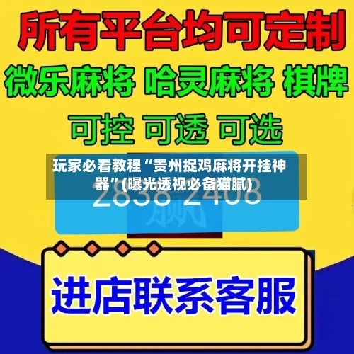 玩家必看教程“贵州捉鸡麻将开挂神器”(曝光透视必备猫腻)