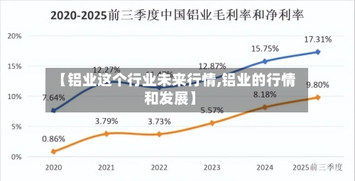 【铝业这个行业未来行情,铝业的行情和发展】-第2张图片
