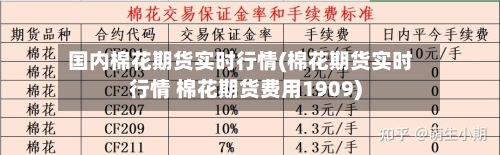 国内棉花期货实时行情(棉花期货实时行情 棉花期货费用1909)-第2张图片