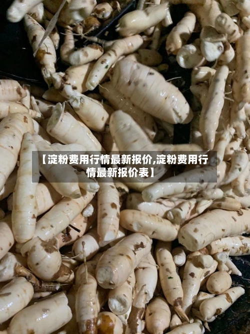 【淀粉费用行情最新报价,淀粉费用行情最新报价表】-第2张图片