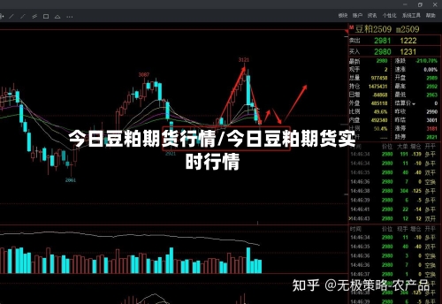 今日豆粕期货行情/今日豆粕期货实时行情-第2张图片