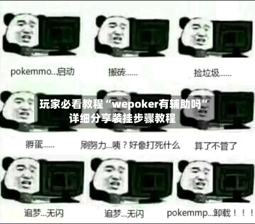 玩家必看教程“wepoker有辅助吗”详细分享装挂步骤教程-第3张图片