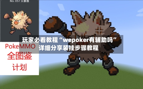 玩家必看教程“wepoker有辅助吗”详细分享装挂步骤教程-第2张图片