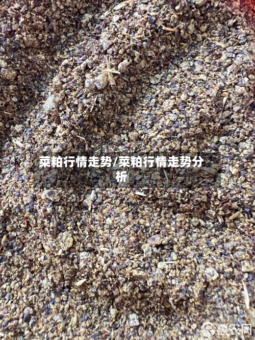 菜粕行情走势/菜粕行情走势分析