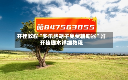 开挂教程“多乐跑胡子免费辅助器”附开挂脚本详细教程-第3张图片