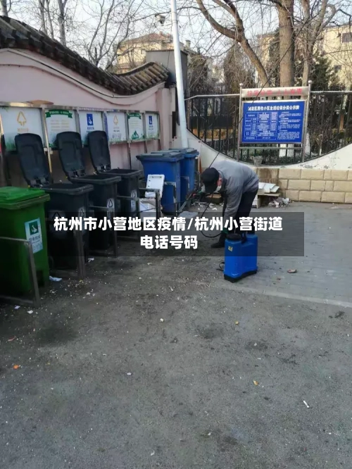 杭州市小营地区疫情/杭州小营街道电话号码