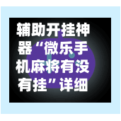 辅助开挂神器“微乐手机麻将有没有挂	”详细分享装挂步骤-第3张图片