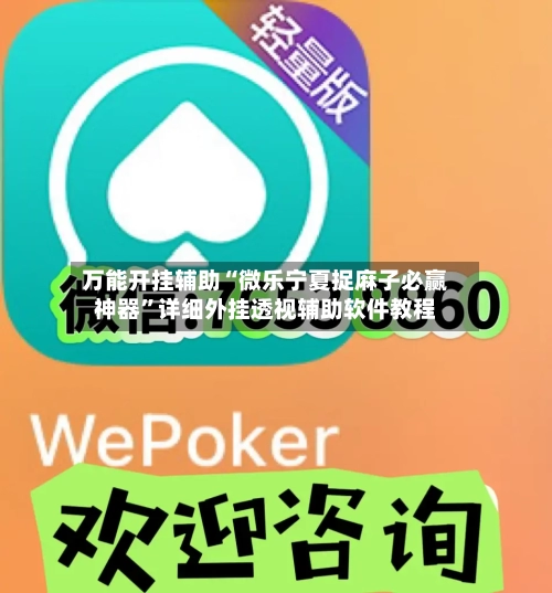 万能开挂辅助“微乐宁夏捉麻子必赢神器”详细外挂透视辅助软件教程-第3张图片