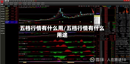 五档行情有什么用/五档行情有什么用途-第2张图片