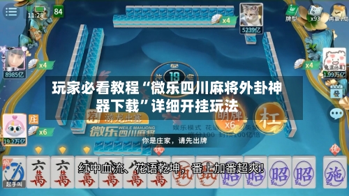 玩家必看教程“微乐四川麻将外卦神器下载”详细开挂玩法